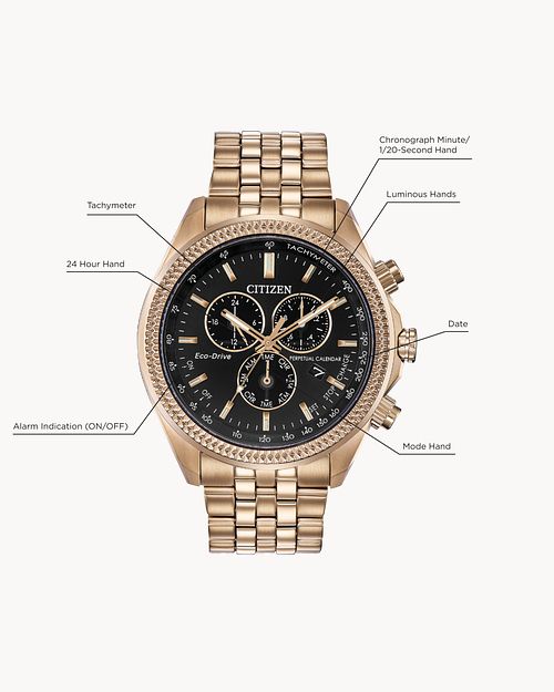 Load image into Gallery viewer, Citizen Classic Eco-Drive Perpetual Calender Chrono Watch BL5563-58E

