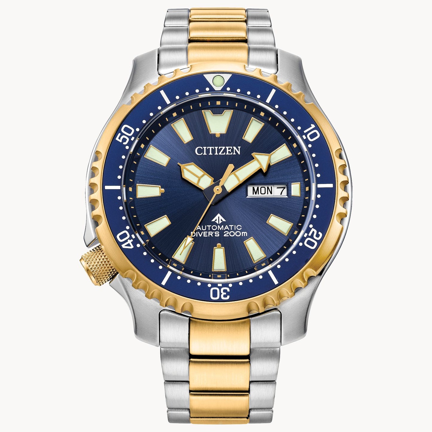 Load image into Gallery viewer, Citizen Promaster Dive Automatic watch
